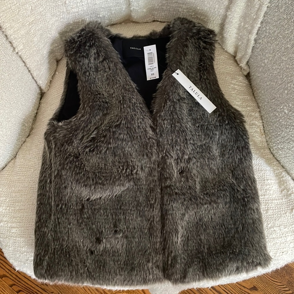 Aritzia Faux Fur Vest